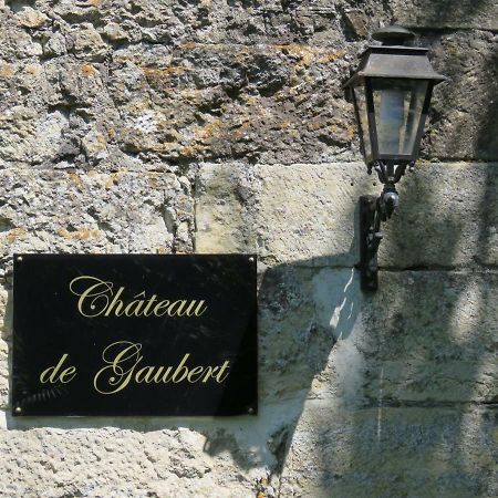 Chateau De Gaubert Bed & Breakfast Terrasson Eksteriør bilde