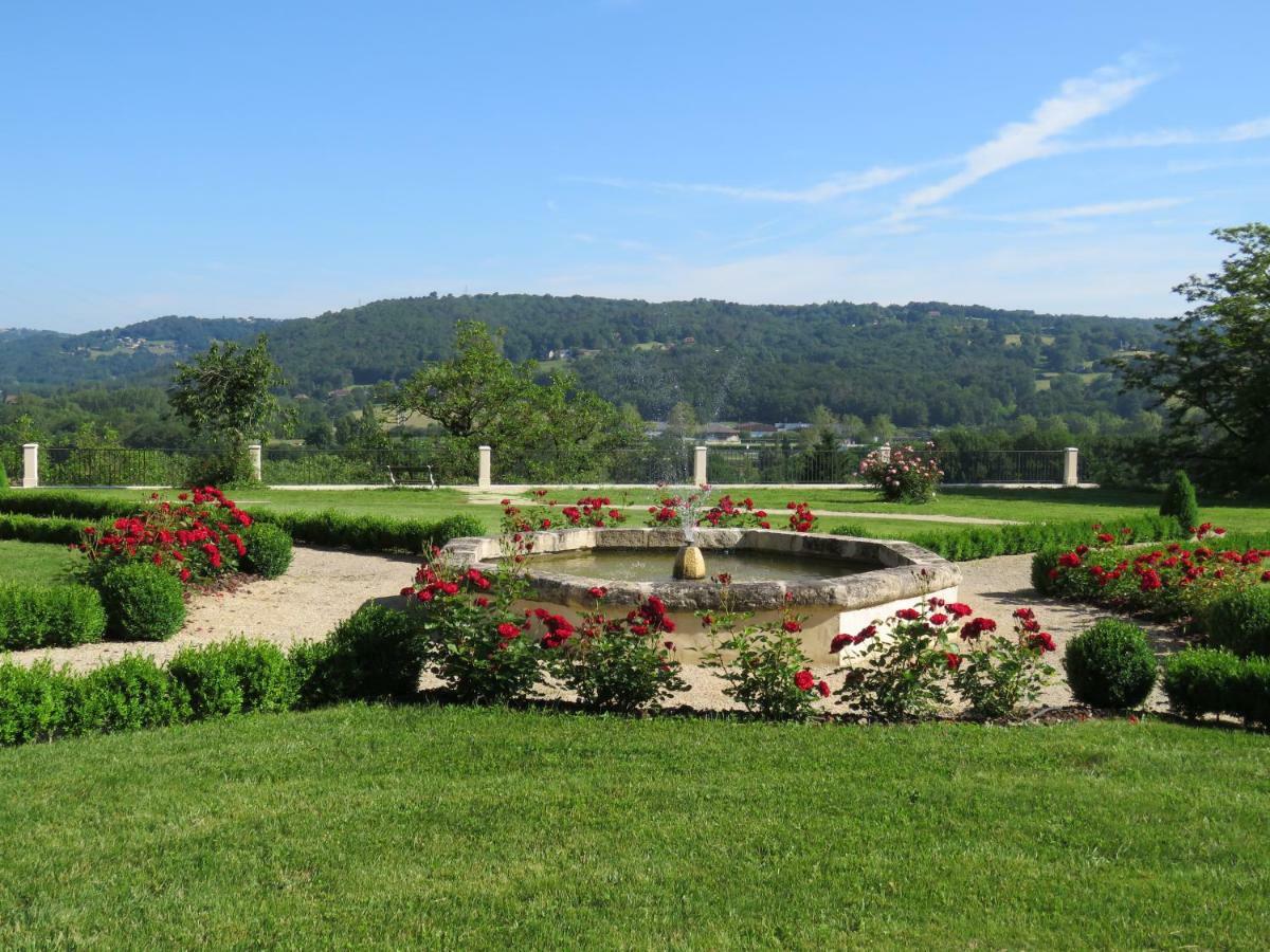 Chateau De Gaubert Bed & Breakfast Terrasson Eksteriør bilde