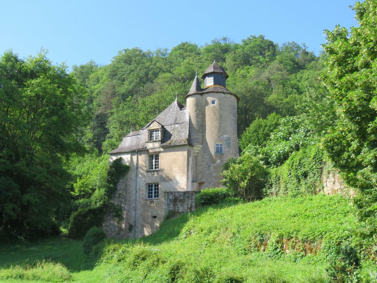 Chateau De Gaubert Bed & Breakfast Terrasson Eksteriør bilde