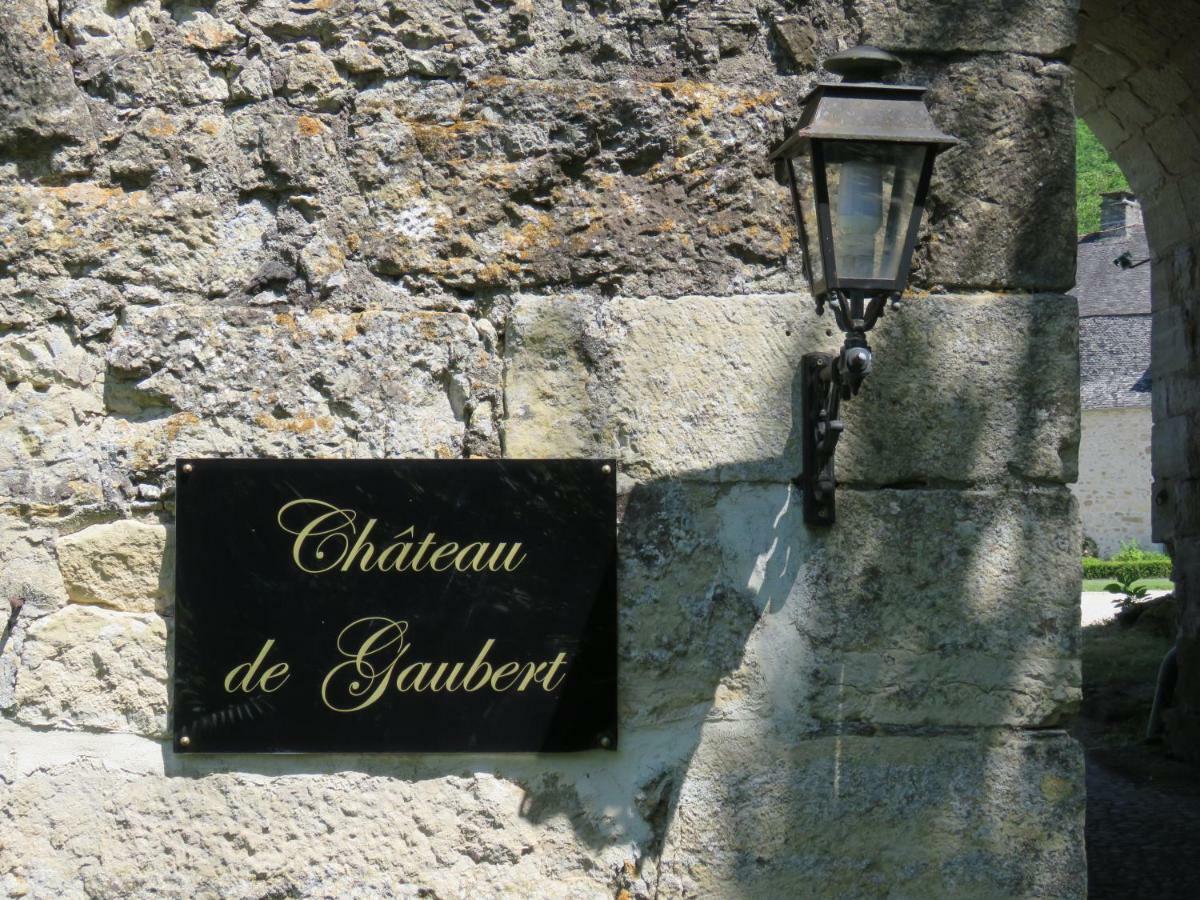 Chateau De Gaubert Bed & Breakfast Terrasson Eksteriør bilde